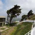 Point Rayes National Seashore (palo-alto_100_8280.jpg) Palo Alto, San Fransico, Bay Area